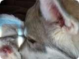 Uploaded on: 11/13/2021 3:18:46 PM