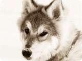Uploaded on: 11/13/2021 3:18:30 PM