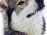 Uploaded on: 11/13/2021 3:19:21 PM