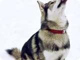 Uploaded on: 11/13/2021 3:19:21 PM