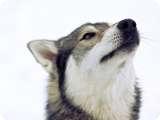 Uploaded on: 11/13/2021 3:19:22 PM