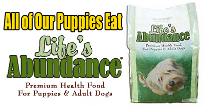 Life's Abundance Dog Food